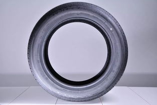 專為舒適型轎車而生 全面測試瑪吉斯ms1