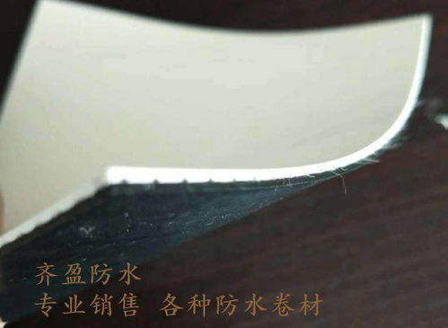 歡迎咨詢 遼寧 app改性瀝青防水卷材 價(jià)格